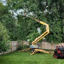 Best Commercial Tree Services  in West Park, NJ
