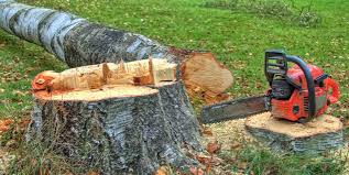Best Firewood Processing and Delivery  in West Park, NJ