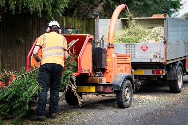 Best Lawn Drainage Solutions  in West Park, NJ