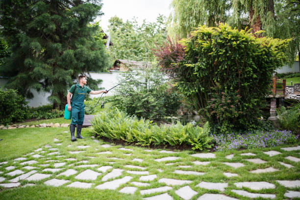 Best Tree Mulching  in West Park, NJ