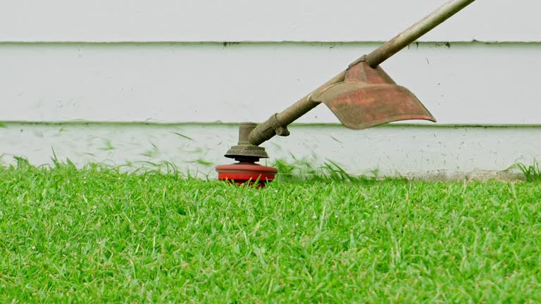 Best Weed Control  in West Park, NJ