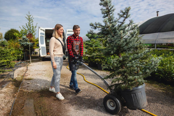 Best Lawn Grading and Leveling  in West Park, NJ